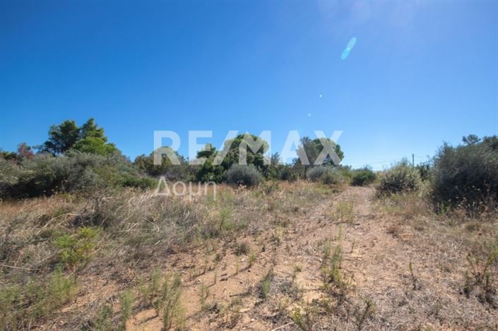 Image No.17-Propriété à vendre à Skiathos