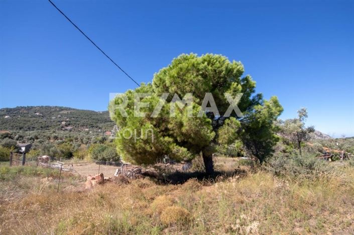 Image No.19-Propriété à vendre à Skiathos