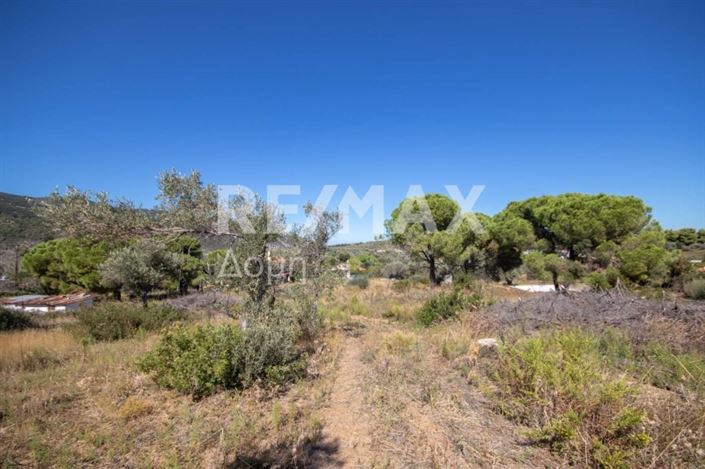 Image No.20-Propriété à vendre à Skiathos