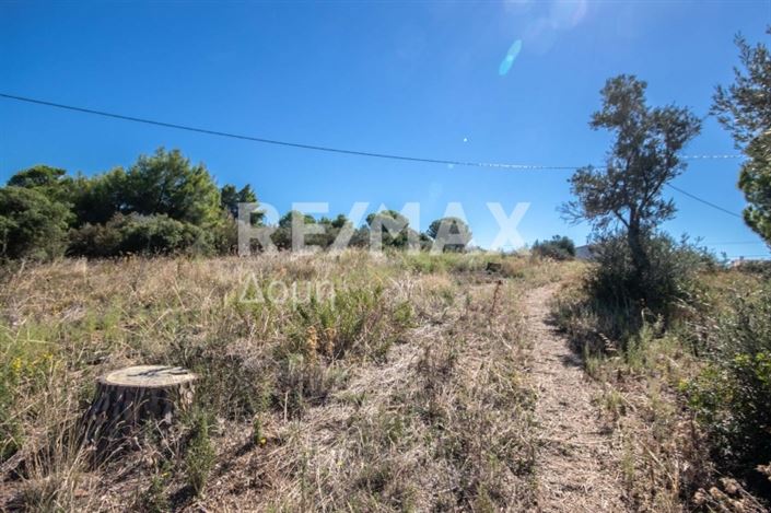 Image No.21-Propriété à vendre à Skiathos