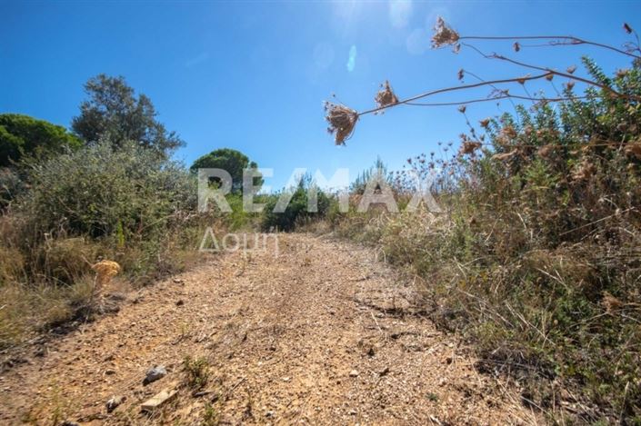 Image No.23-Propriété à vendre à Skiathos