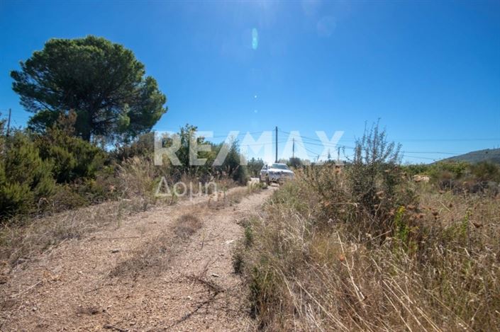 Image No.24-Propriété à vendre à Skiathos