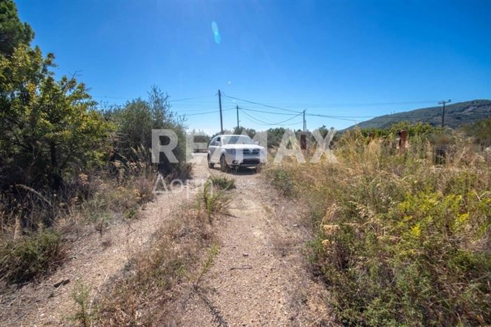 Image No.25-Propriété à vendre à Skiathos