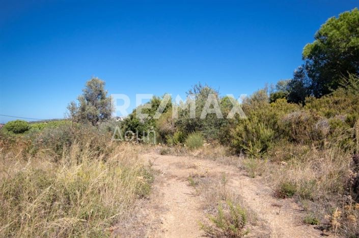 Image No.3-Propriété à vendre à Skiathos