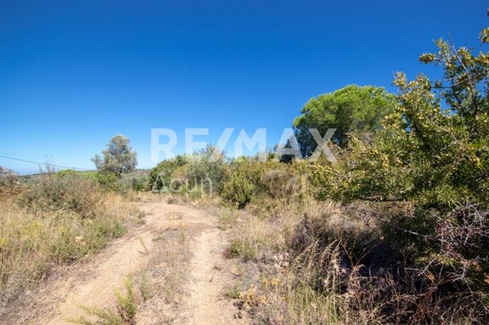 Image No.6-Propriété à vendre à Skiathos