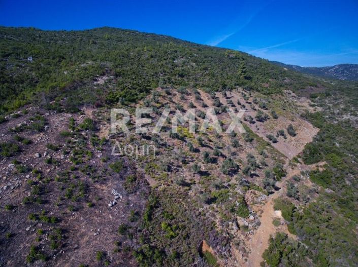 Image No.1-Propriété à vendre à Alonnisos