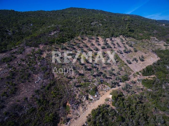 Image No.2-Property for sale