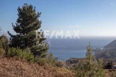 1 - Agios Dimitrios, Terre