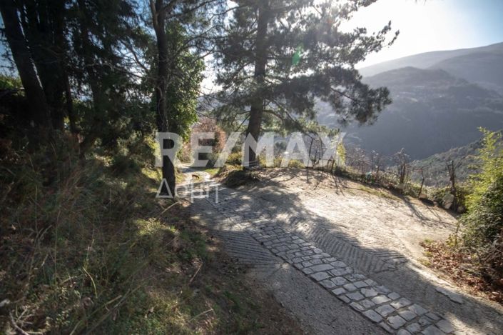 Image No.10-Terre à vendre à Agios Dimitrios