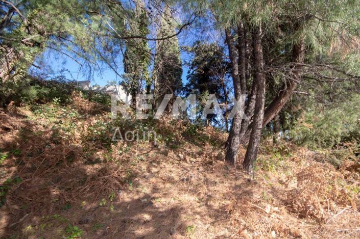 Image No.19-Terre à vendre à Agios Dimitrios