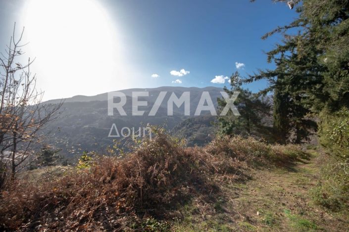 Image No.21-Terre à vendre à Agios Dimitrios