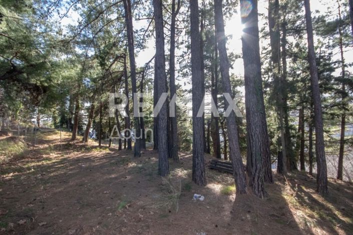 Image No.22-Terre à vendre à Agios Dimitrios