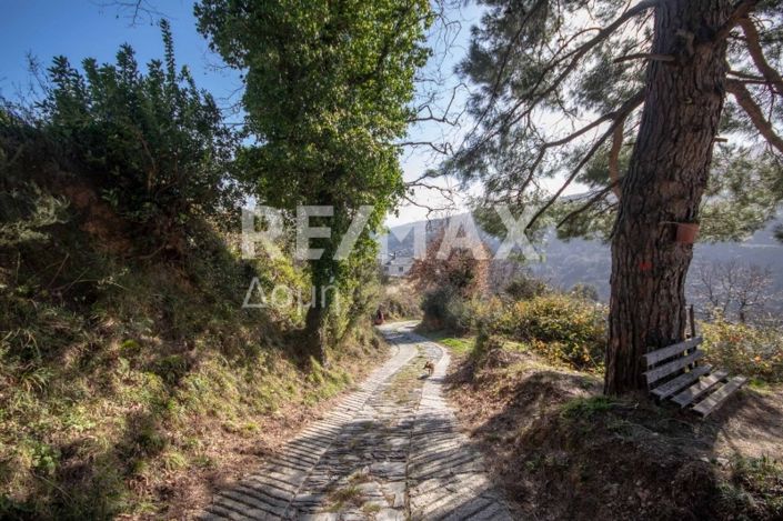 Image No.4-Terre à vendre à Agios Dimitrios