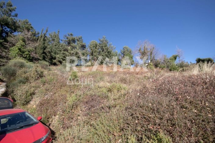 Image No.7-Terre à vendre à Agios Dimitrios