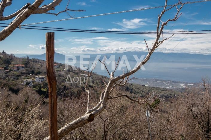 Image No.37-Propriété de 2 chambres à vendre à Artemida