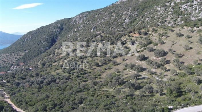 Image No.10-Propriété à vendre à Magnésie