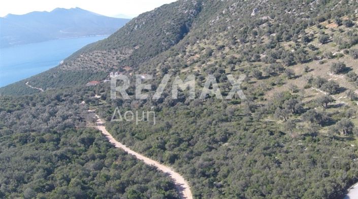 Image No.11-Propriété à vendre à Magnésie