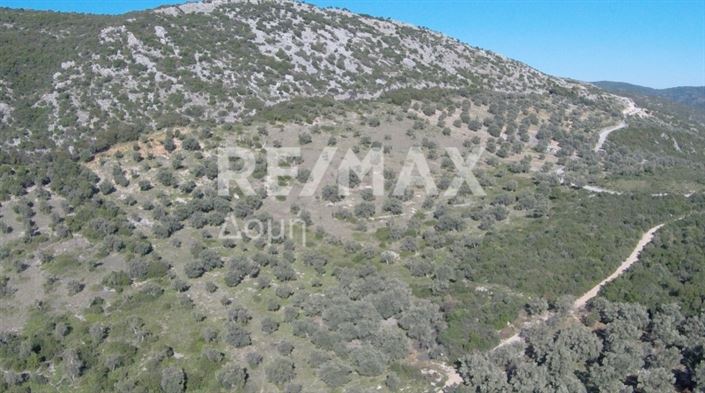 Image No.12-Propriété à vendre à Magnésie