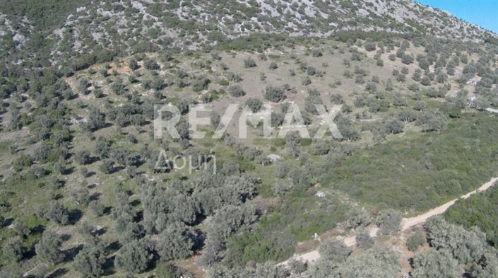 Image No.7-Propriété à vendre à Magnésie