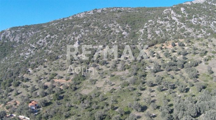 Image No.8-Propriété à vendre à Magnésie