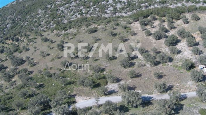 Image No.9-Propriété à vendre à Magnésie