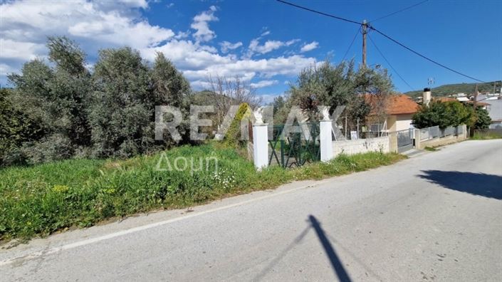 Image No.10-Terre à vendre à Magnésie