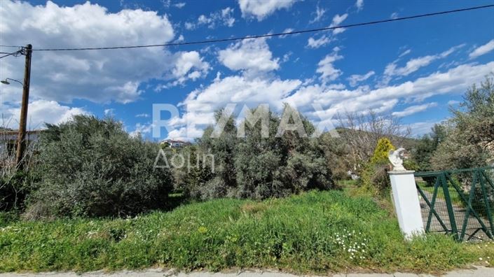 Image No.2-Terre à vendre à Magnésie