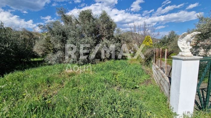 Image No.6-Terre à vendre à Magnésie