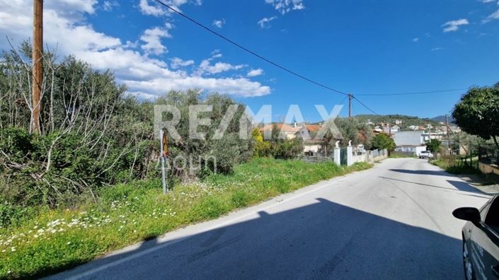 Image No.7-Terre à vendre à Magnésie