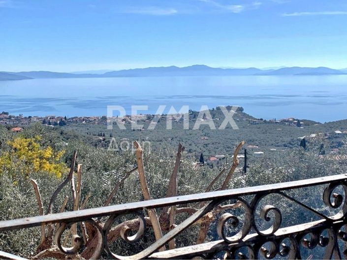 Image No.2-Propriété de 3 chambres à vendre à Magnésie