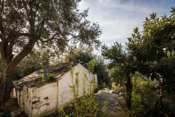 Image No.27-Propriété de 3 chambres à vendre à Magnésie