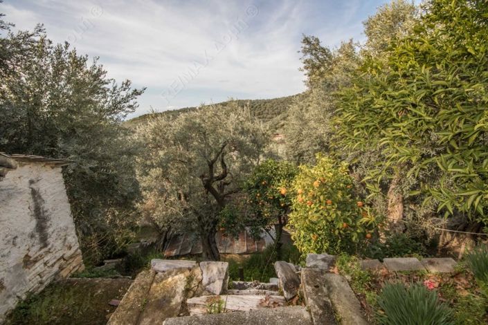 Image No.28-Propriété de 3 chambres à vendre à Magnésie