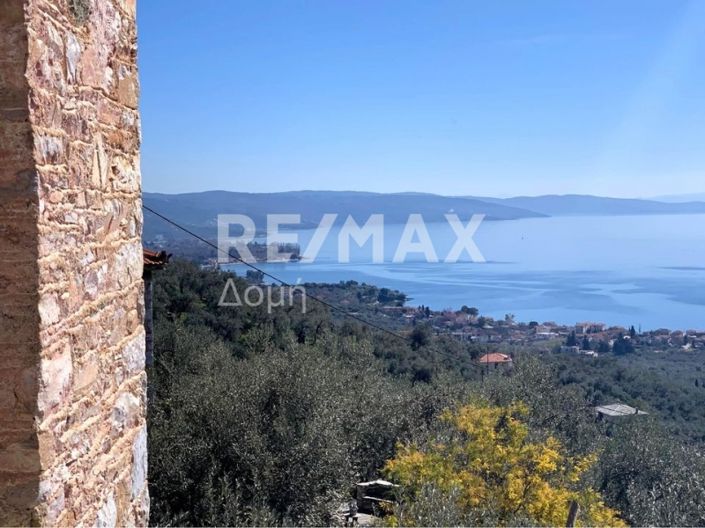 Image No.3-Propriété de 3 chambres à vendre à Magnésie