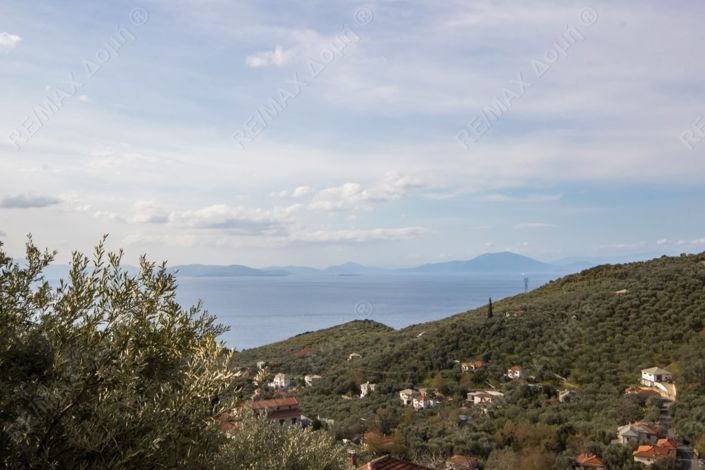 Image No.33-Propriété de 3 chambres à vendre à Magnésie