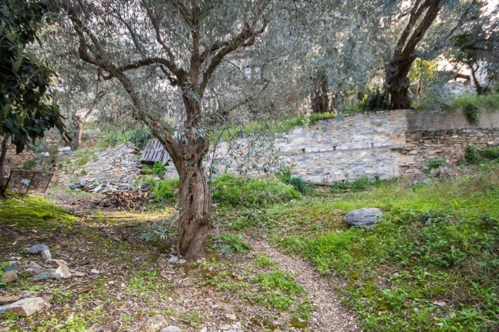 Image No.38-Propriété de 3 chambres à vendre à Magnésie