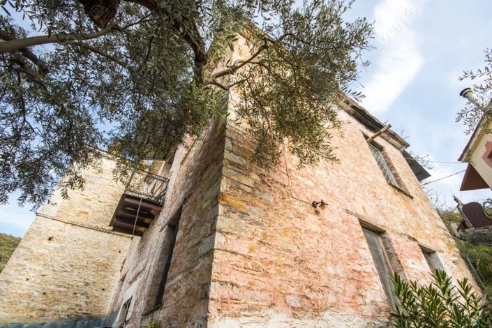 Image No.4-Propriété de 3 chambres à vendre à Magnésie