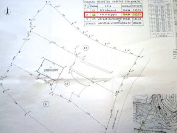 25295-62673621