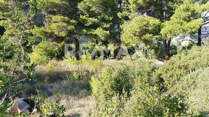 Image No.10-Propriété à vendre à Alonnisos