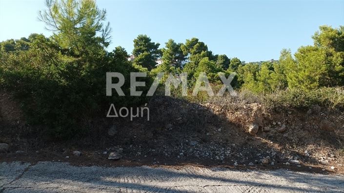 Image No.13-Propriété à vendre à Alonnisos