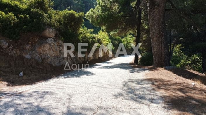 Image No.3-Propriété à vendre à Alonnisos