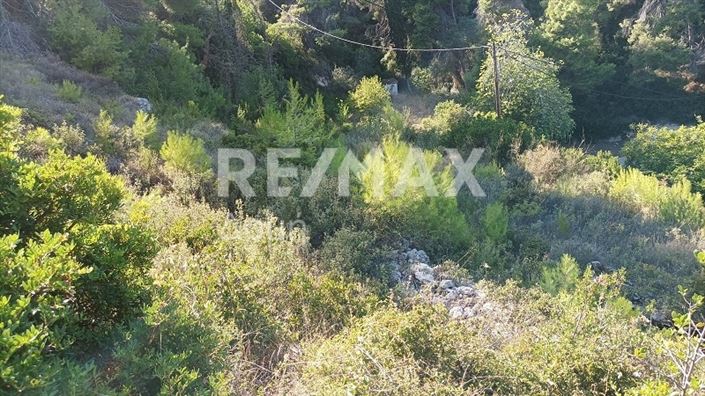 Image No.5-Propriété à vendre à Alonnisos