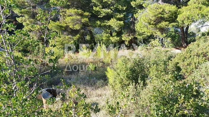 Image No.6-Propriété à vendre à Alonnisos