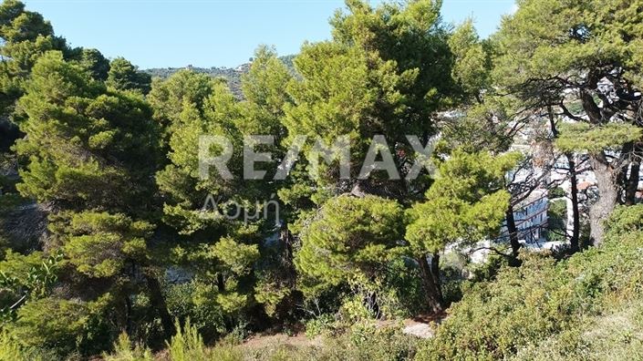 Image No.7-Propriété à vendre à Alonnisos