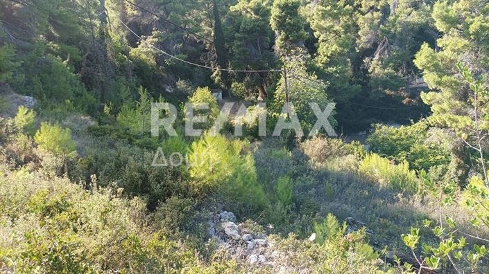 Image No.9-Propriété à vendre à Alonnisos