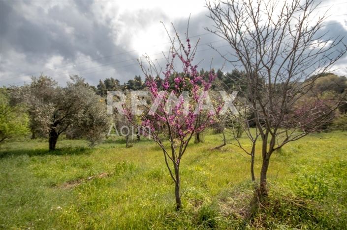 Image No.10-Property for sale