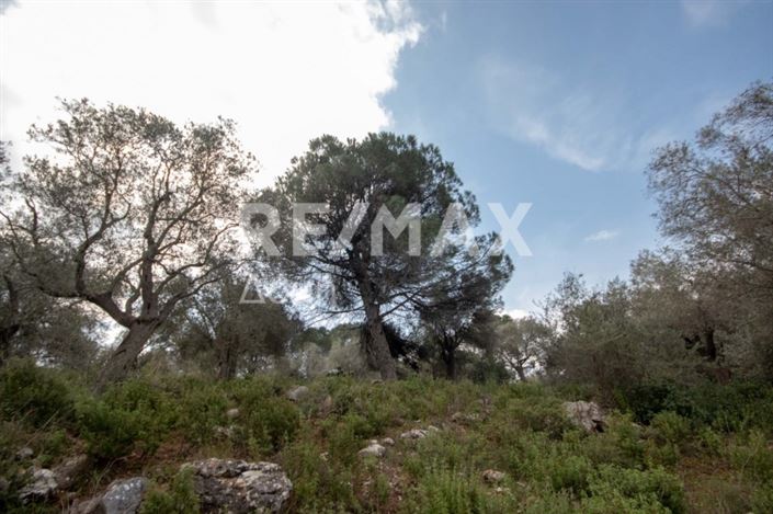 Image No.17-Property for sale