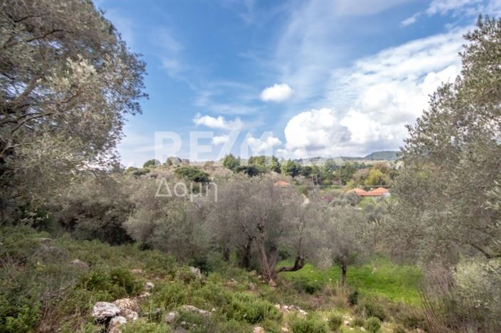 Image No.19-Property for sale