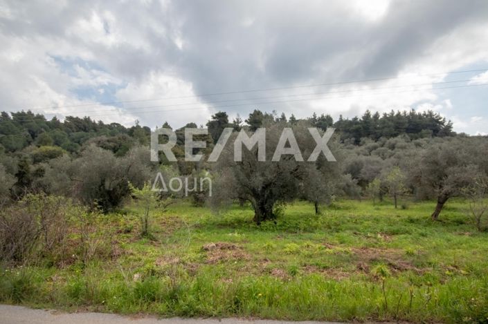 Image No.27-Property for sale