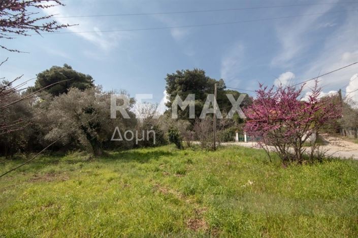 Image No.4-Property for sale