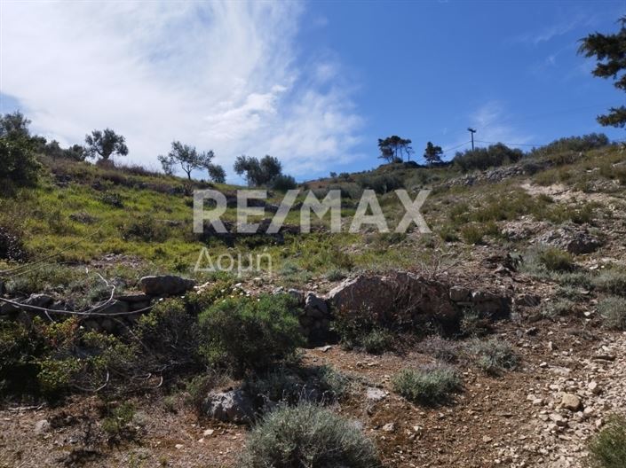 Image No.10-Terre à vendre à Alonnisos